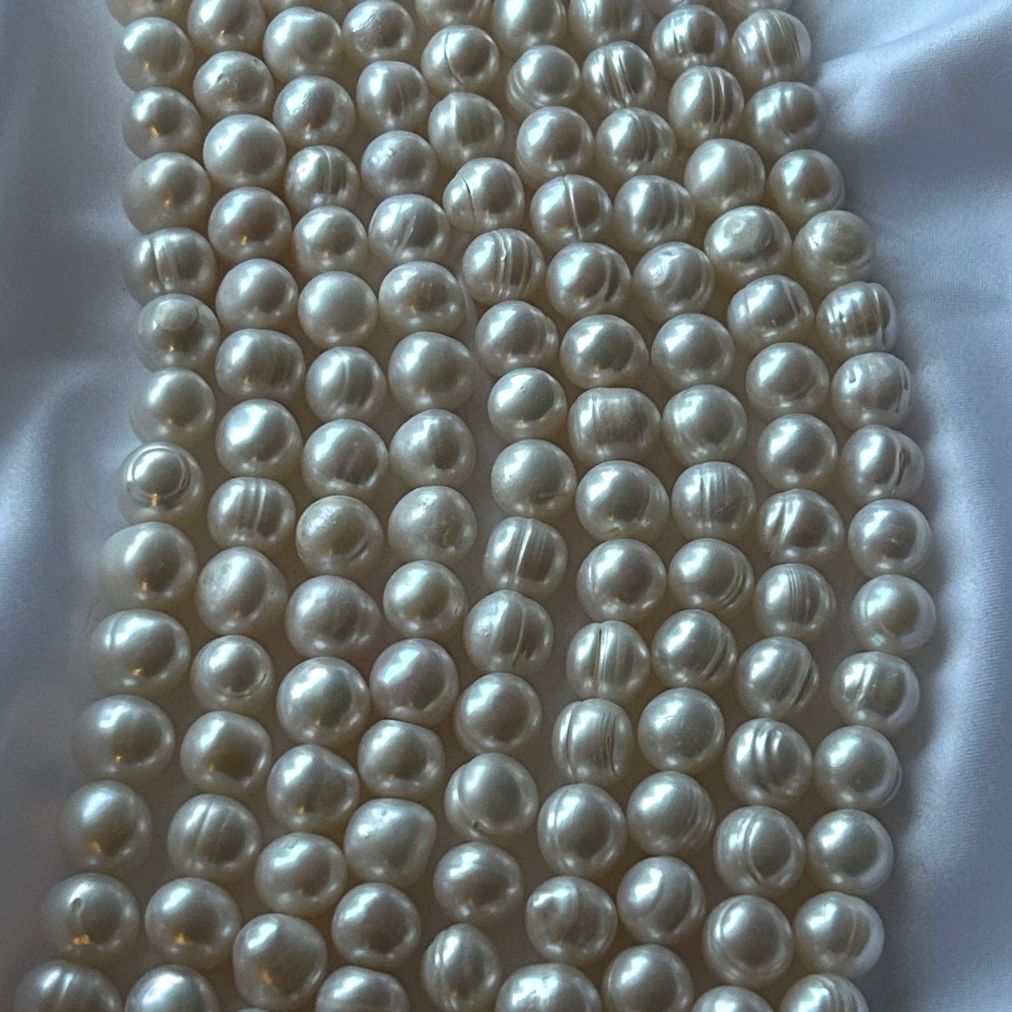 Potato | Cream | 10-11mm | AA