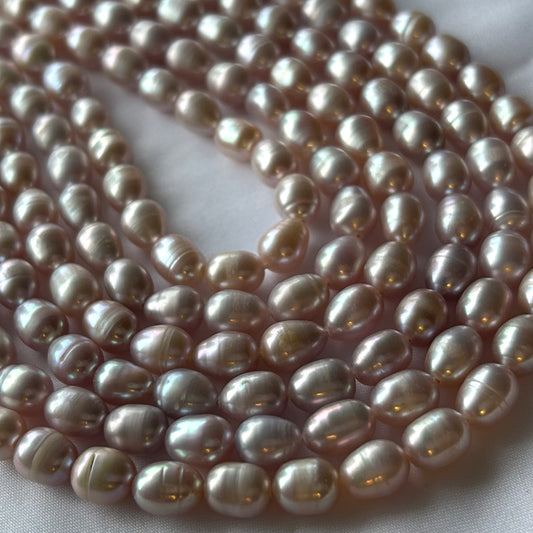 MV Helmet | Rice | Purple | 7-8mm