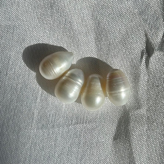 ERÄ | Potato | Valkoinen | 13-14mm | A