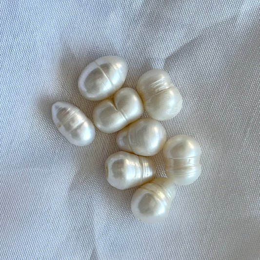 ERÄ | Potato | Valkoinen | 15-16mm | A